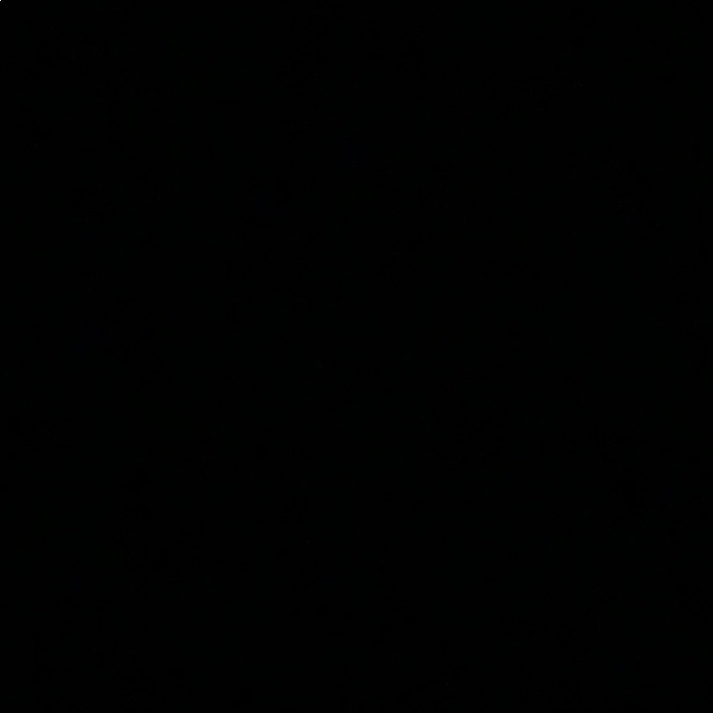 Meet your Posher, Phintsho